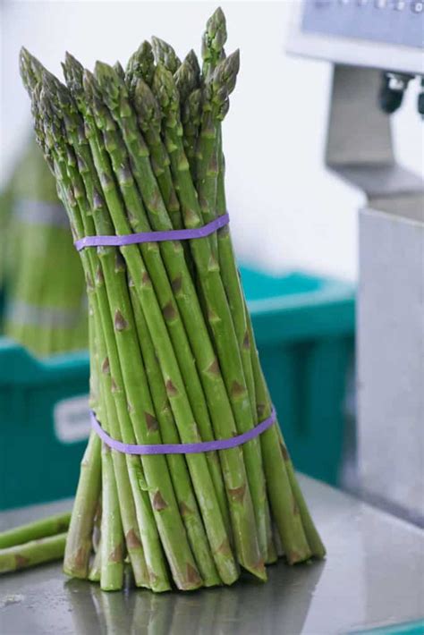how much does a bunch of asparagus weigh